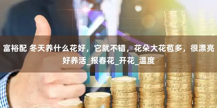 富裕配 冬天养什么花好，它就不错，花朵大花苞多，很漂亮好养活_报春花_开花_温度