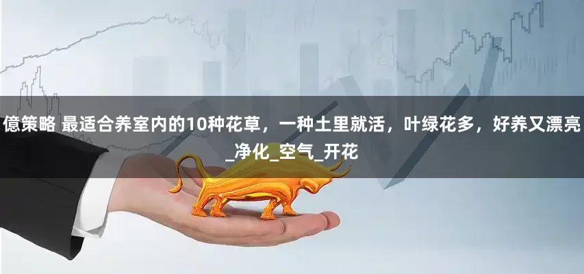 億策略 最适合养室内的10种花草，一种土里就活，叶绿花多，好养又漂亮_净化_空气_开花