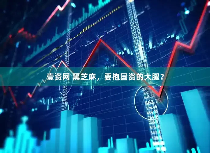 壹资网 黑芝麻，要抱国资的大腿？